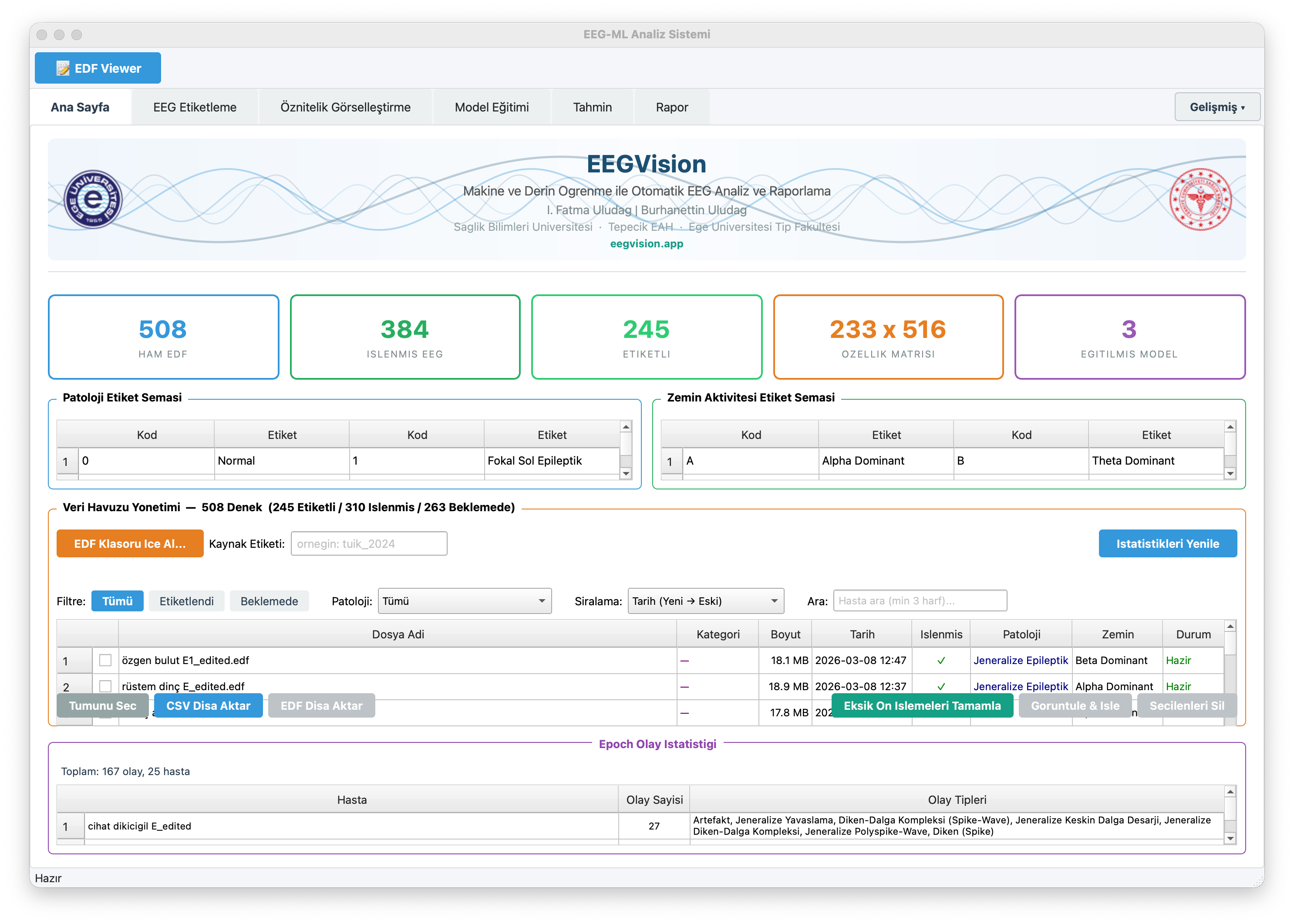 EEGVision AI masaüstü uygulaması dashboard ekranı - EEG veri havuzu ve istatistikler